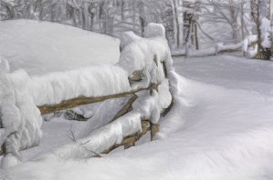 snow fence